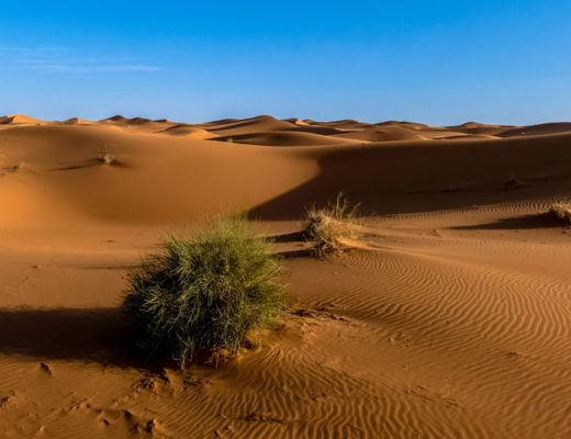 Morocco Dunes