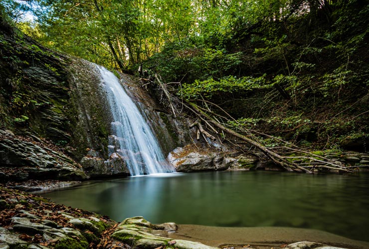 Foreste Casentinesi
