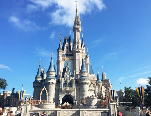 Disney World Castles