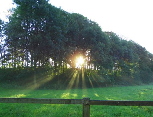 Newton Circular Walk
