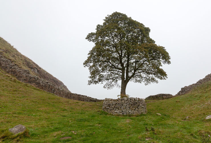 Hexham - Northumberland National Park
