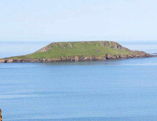 Worms Head The Gower