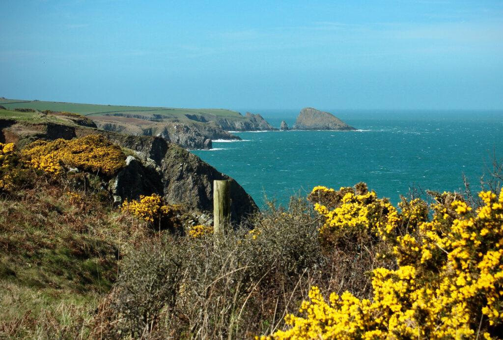 Pembrokeshire Coastal Path