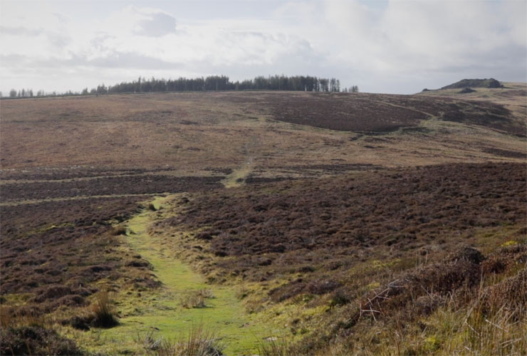 The golden road, the Preseli Hills