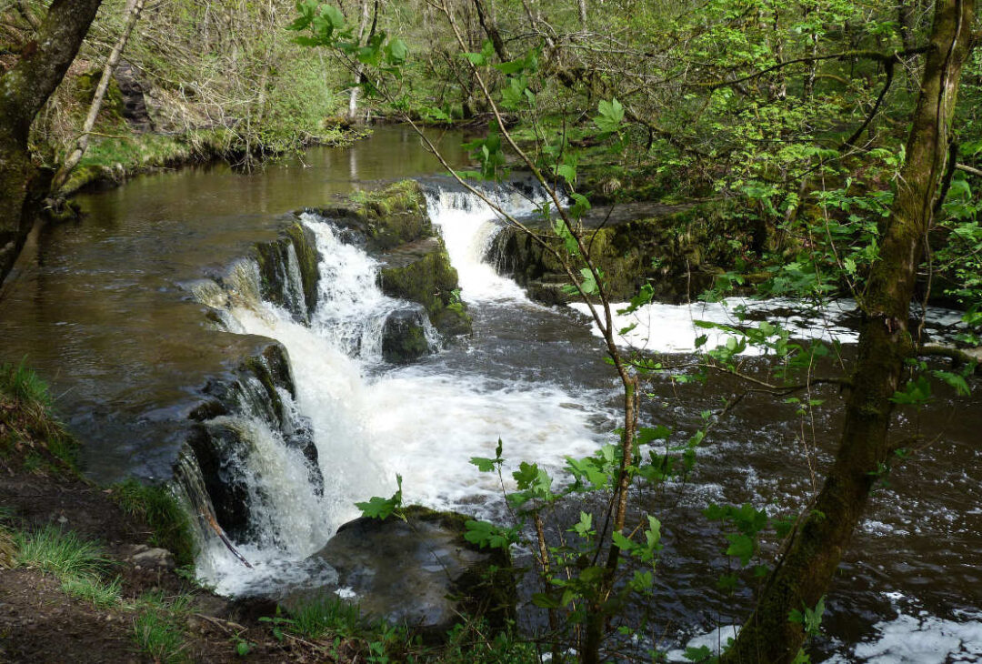 Five Free Things To Do In South Wales