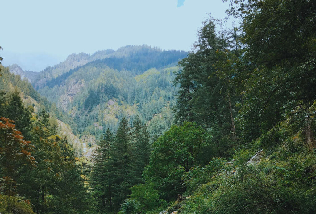 Tirthan Valley Himachal Pradesh