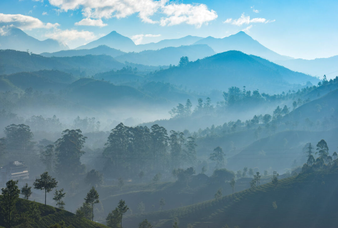 Undiscovered India
