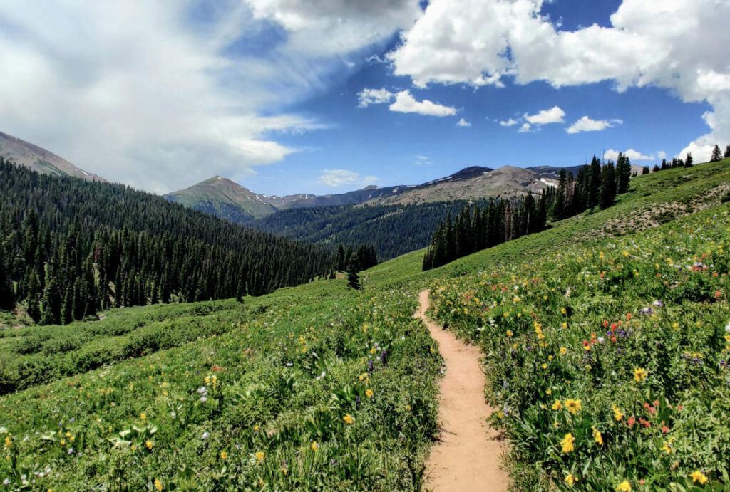 Mountain Bike Trail