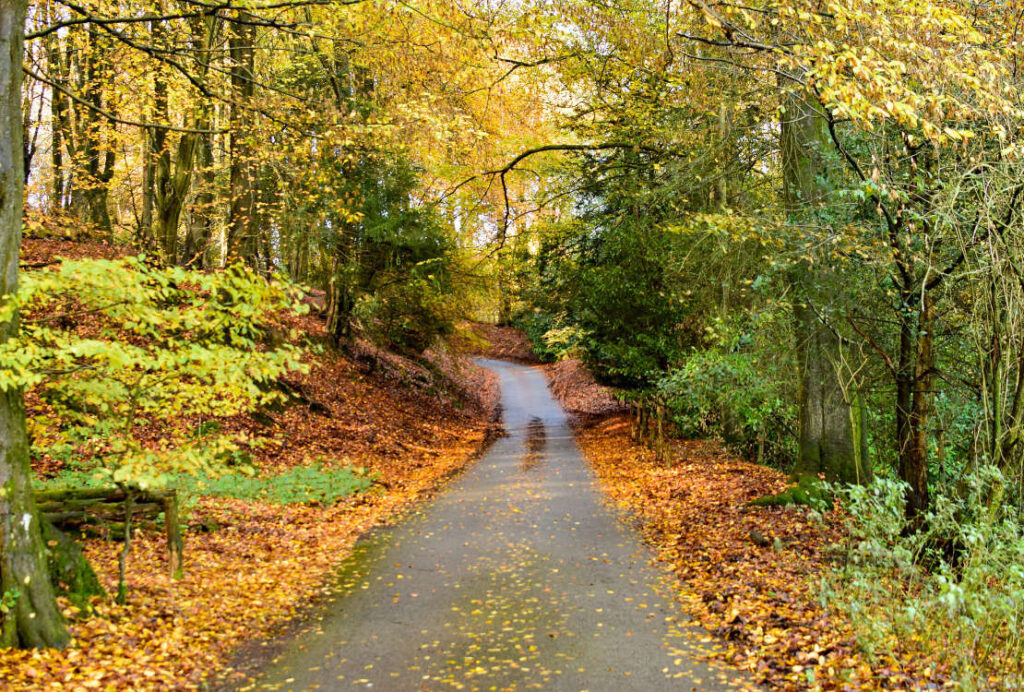 Leith Hill