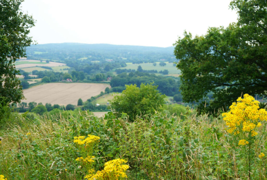 North Downs